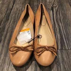 Zara Ballet Flats